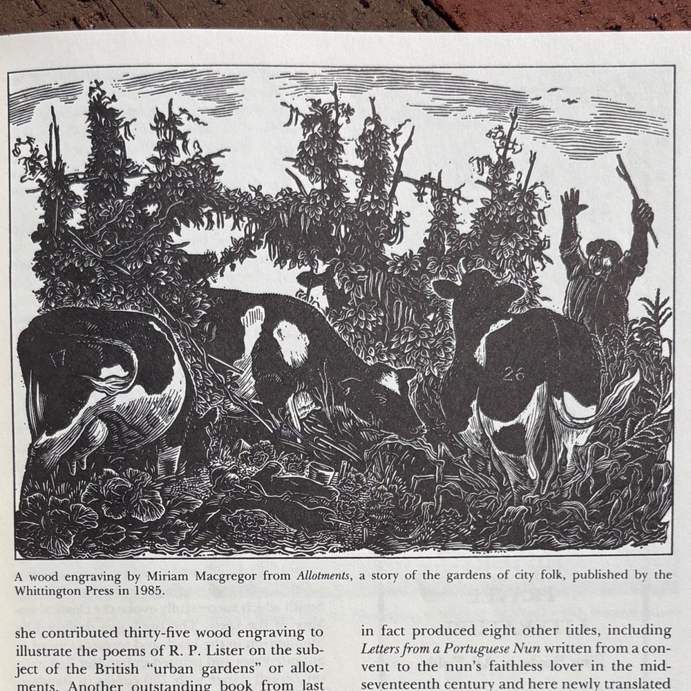 American Book Collector August 1986 Half Devil Half Priest Victorian Rare Books - Picture 2 of 9